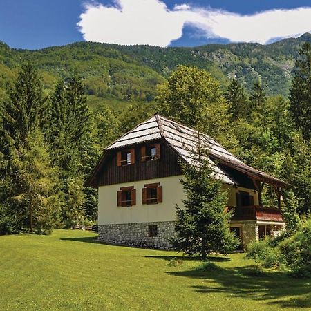 Chalet Primus Near Soca Gorge - Happy Rentals Εξωτερικό φωτογραφία
