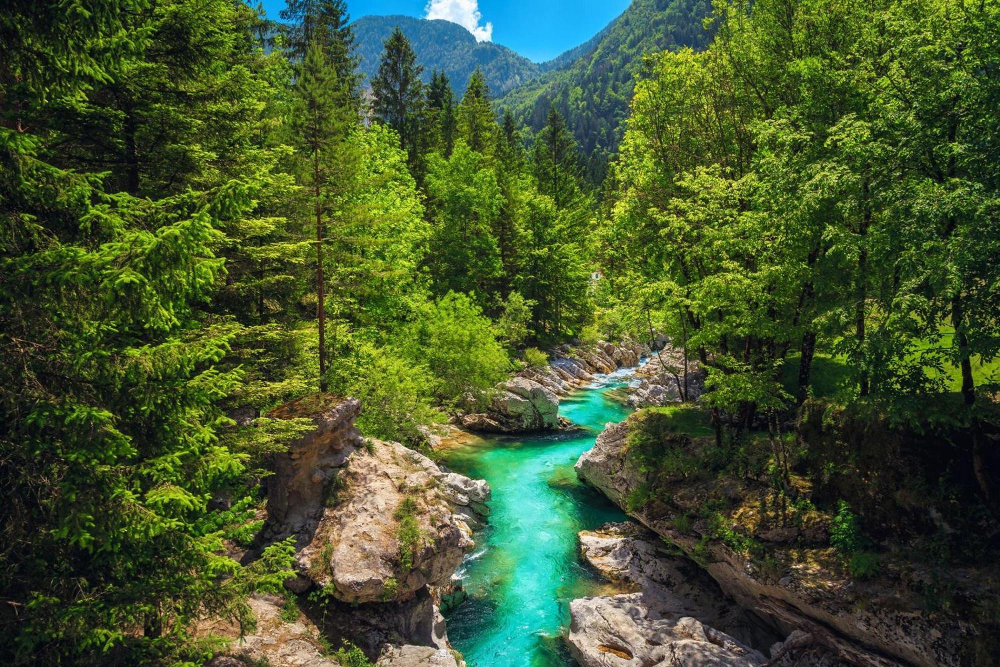 Chalet Primus Near Soca Gorge - Happy Rentals Εξωτερικό φωτογραφία